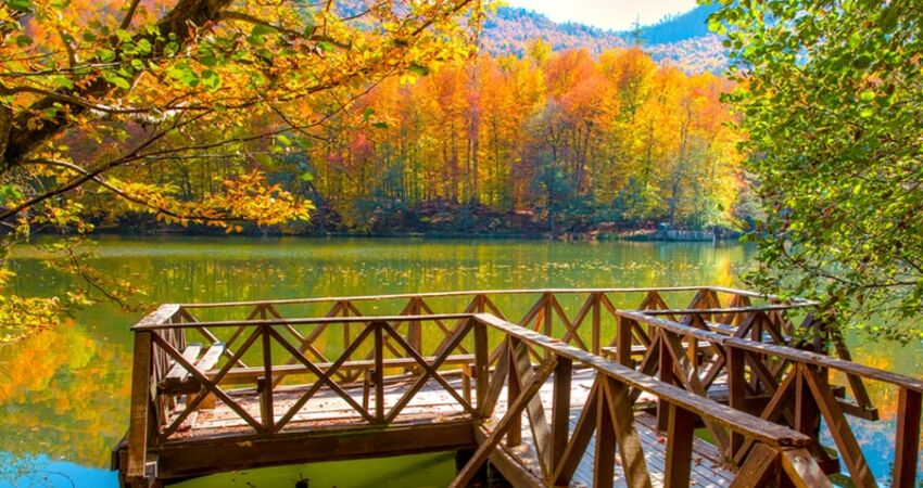 Şile Ağva Yedigöller Abant Ormanya Maşukiye Turu (1 Gece Konaklamalı)