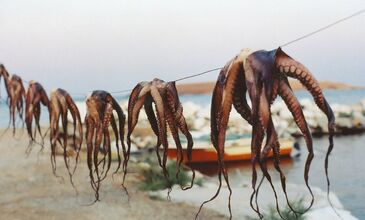 Kapı Vizesi İmkânı ile Midilli Turları 2026 (3 Gün 2 Gece)