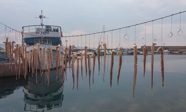 Kapı Vizesi İmkânı ile Midilli Turları 2026 (3 Gün 2 Gece)